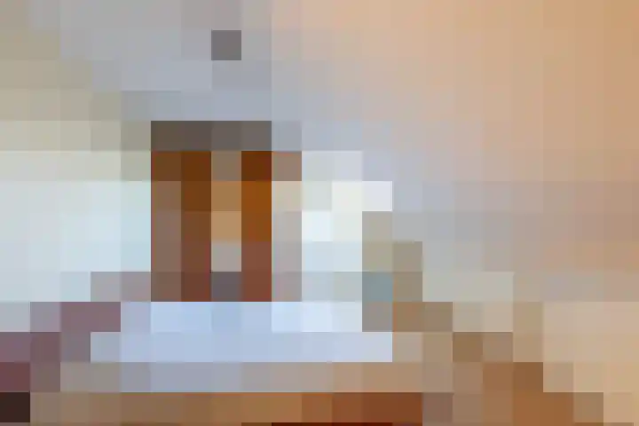 Rietkraag 45 Schiedam thumbnail 29