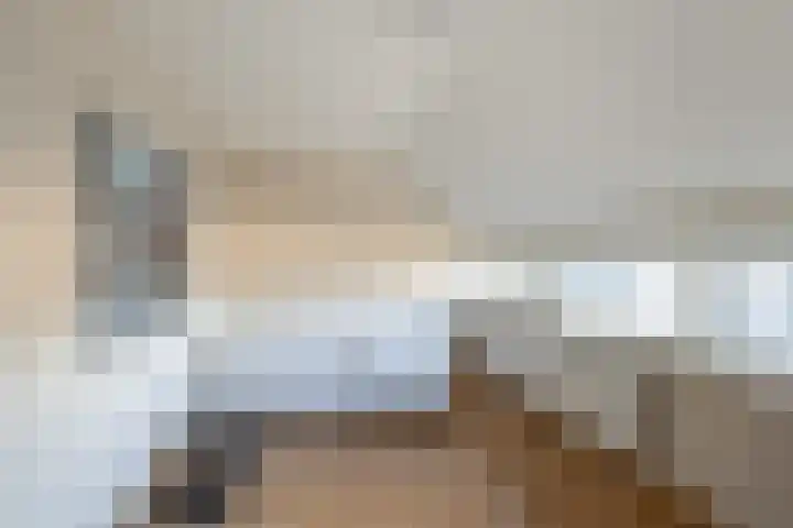 Rietkraag 45 Schiedam thumbnail 31