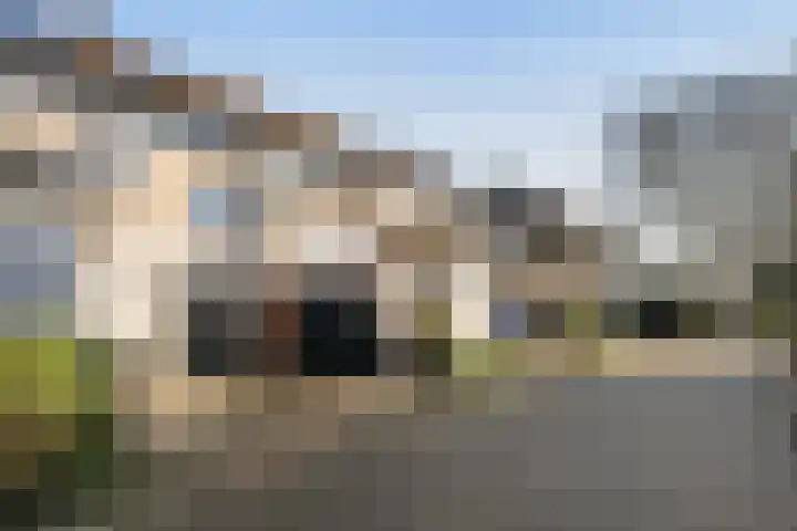 Rietkraag 45 Schiedam thumbnail 35
