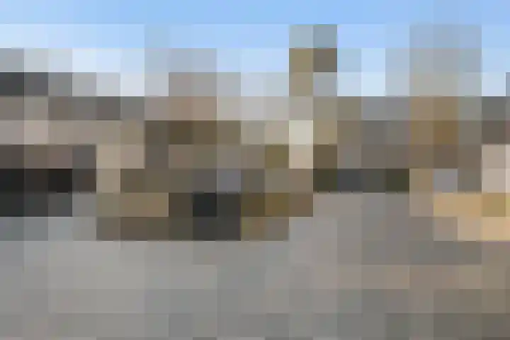 Rietkraag 45 Schiedam thumbnail 36