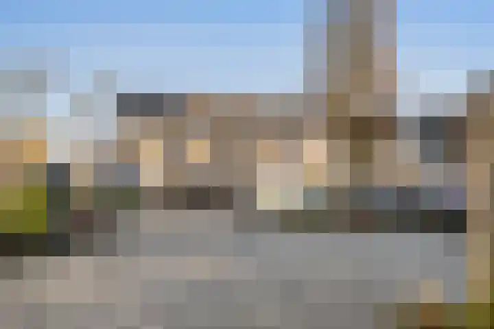 Rietkraag 45 Schiedam thumbnail 37