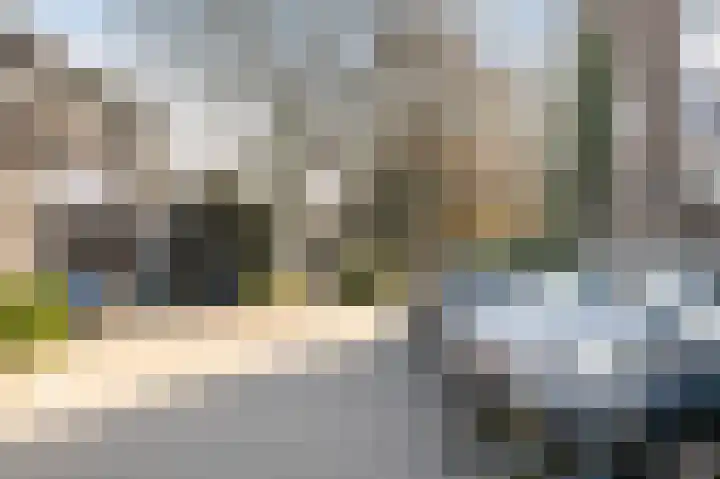 Rietkraag 45 Schiedam thumbnail 38