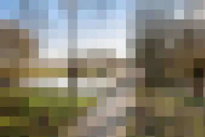 Rietkraag 45 Schiedam thumbnail 39