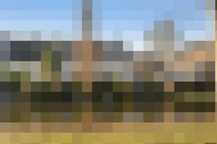 Rietkraag 45 Schiedam thumbnail 40