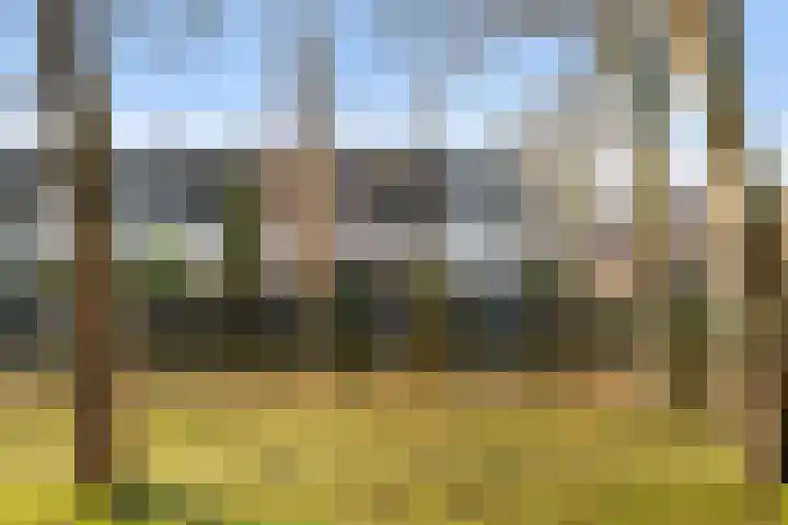 Rietkraag 45 Schiedam thumbnail 41