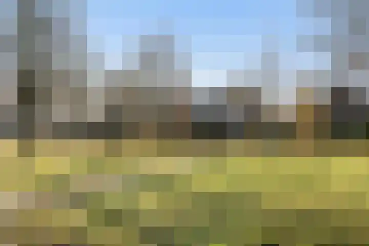 Rietkraag 45 Schiedam thumbnail 42