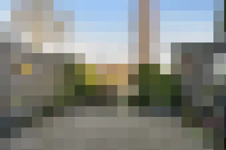 Rietkraag 45 Schiedam thumbnail 6