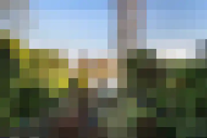 Rietkraag 45 Schiedam thumbnail 7