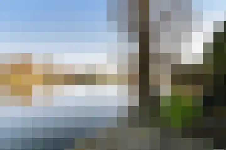 Rietkraag 45 Schiedam thumbnail 8