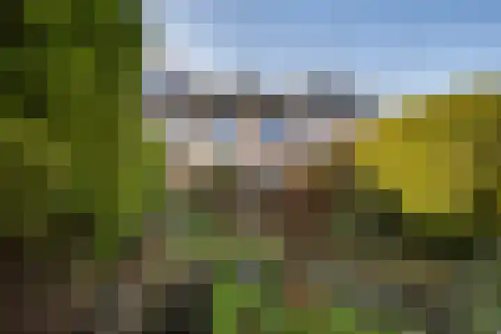 Rietkraag 45 Schiedam thumbnail 9