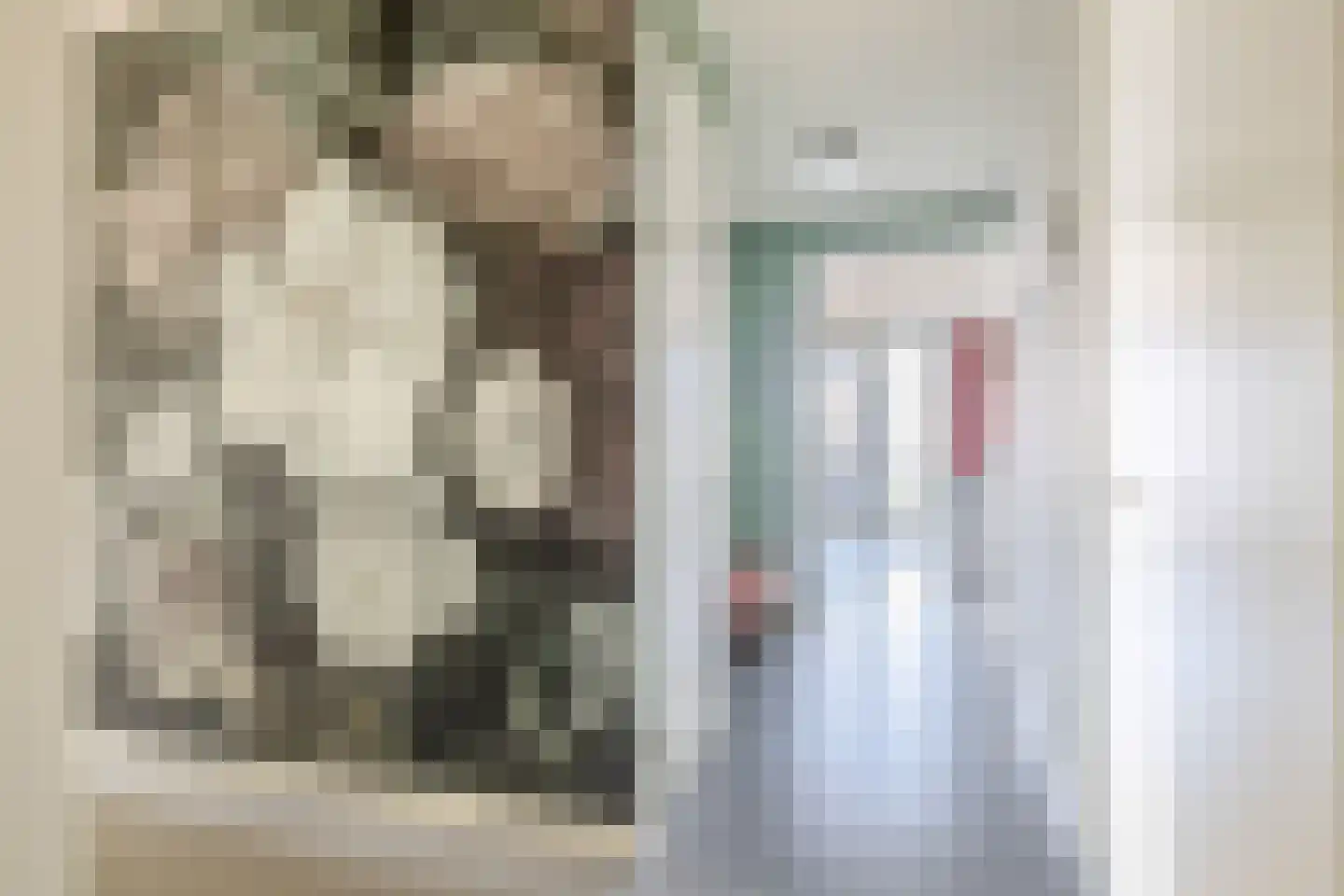 Rietkraag 49 Capelle aan den IJssel thumbnail 33