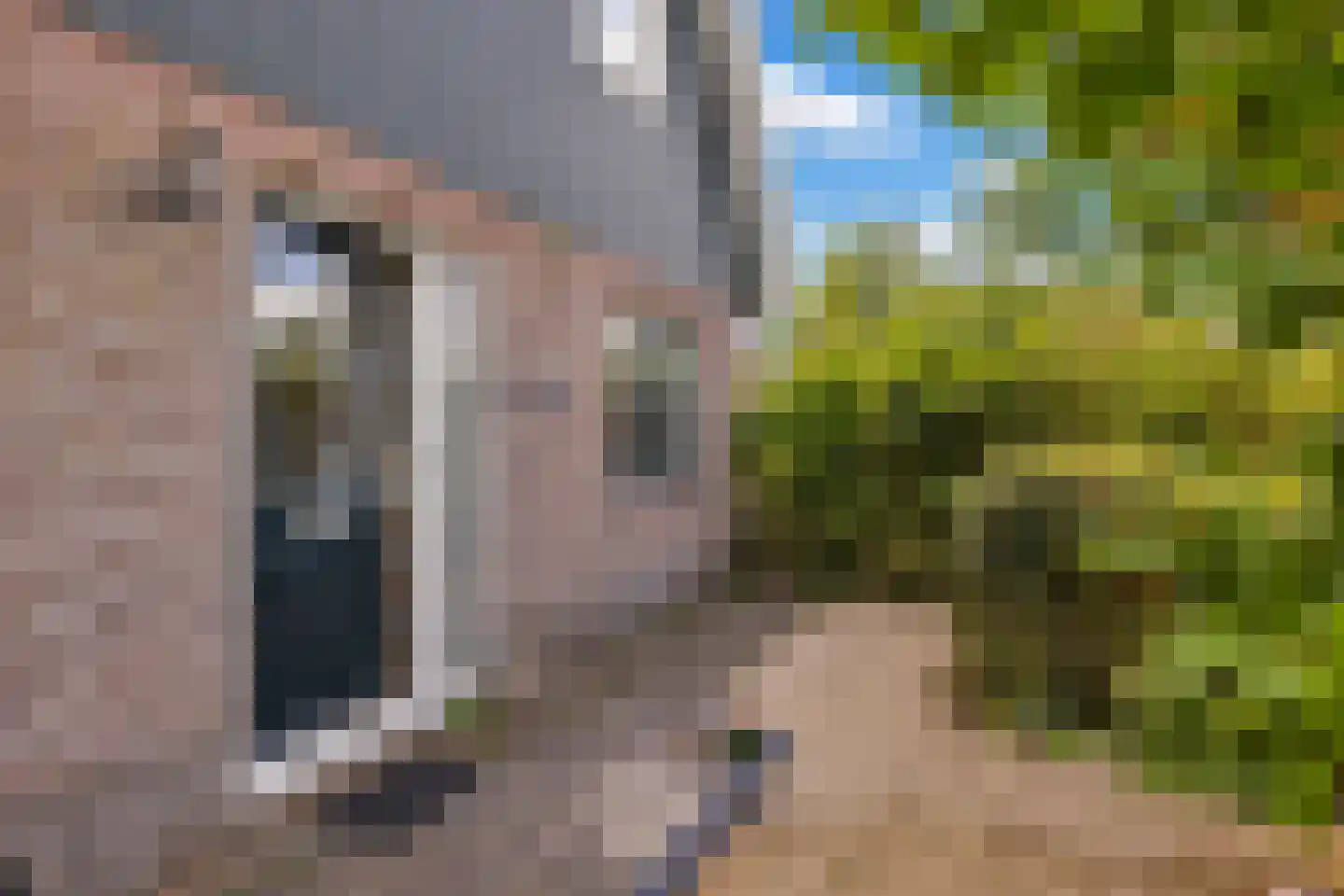 Rietkraag 8 Anna Paulowna thumbnail 10