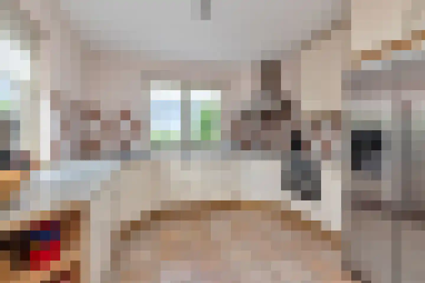 Rietkraag 8 Anna Paulowna thumbnail 13