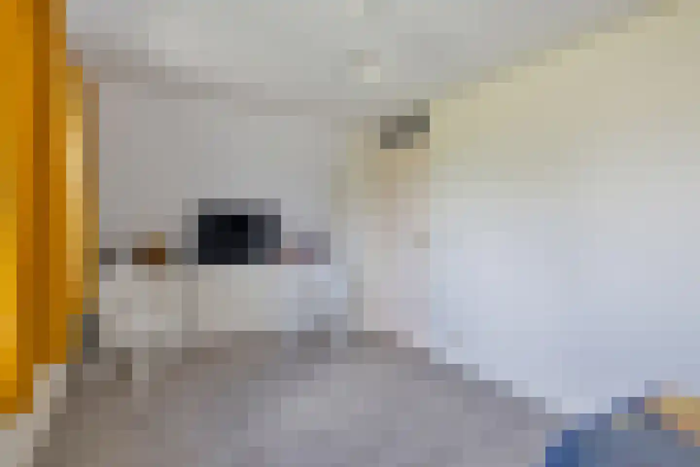 Rietkraag 8 Anna Paulowna thumbnail 24