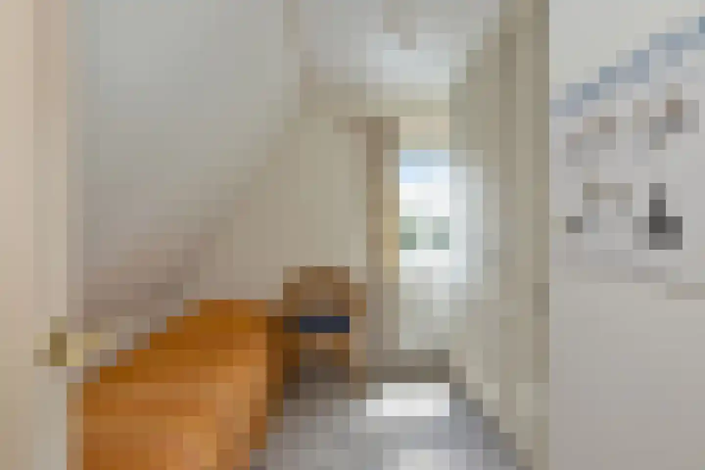 Rietkraag 8 Anna Paulowna thumbnail 26