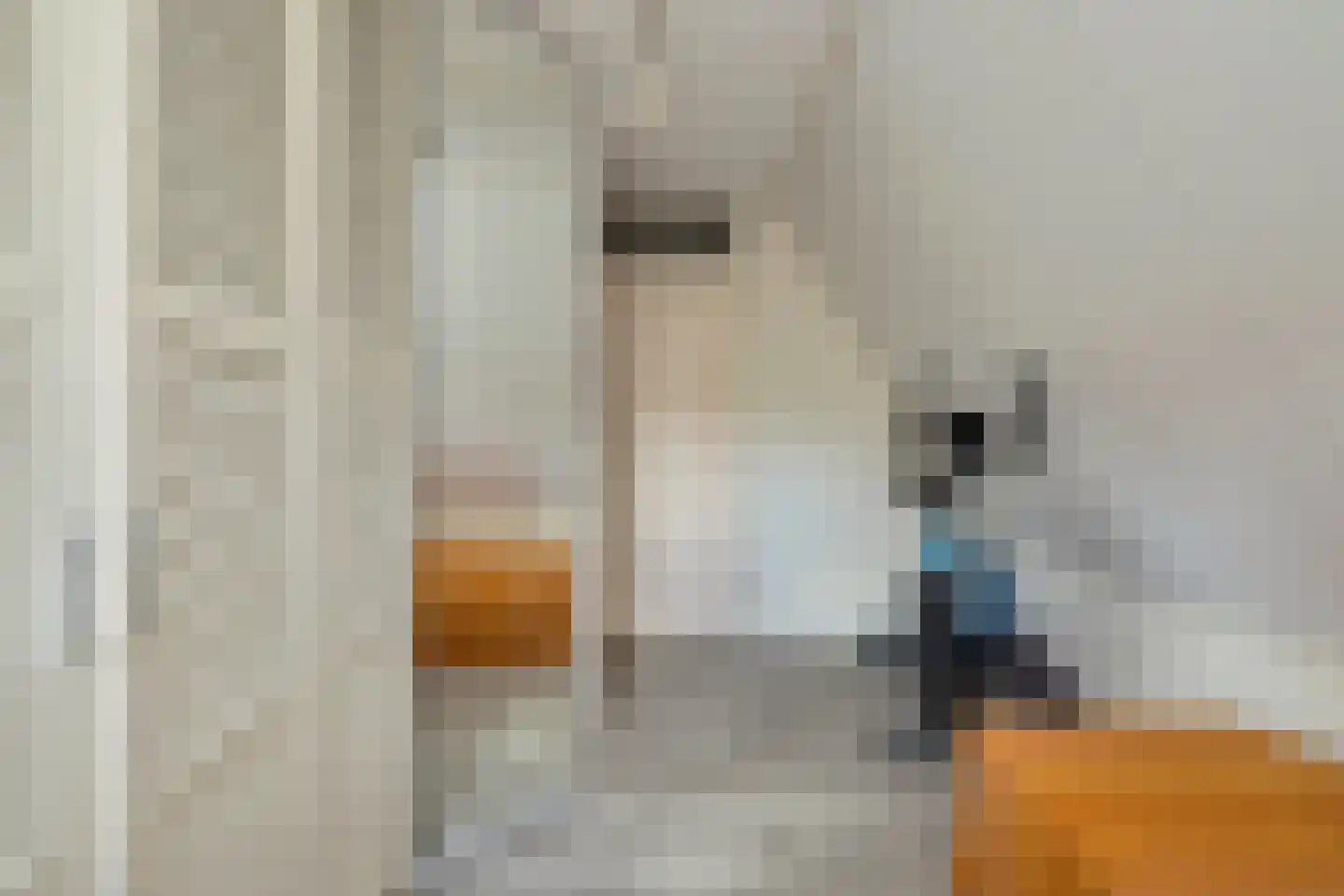 Rietkraag 8 Anna Paulowna thumbnail 27