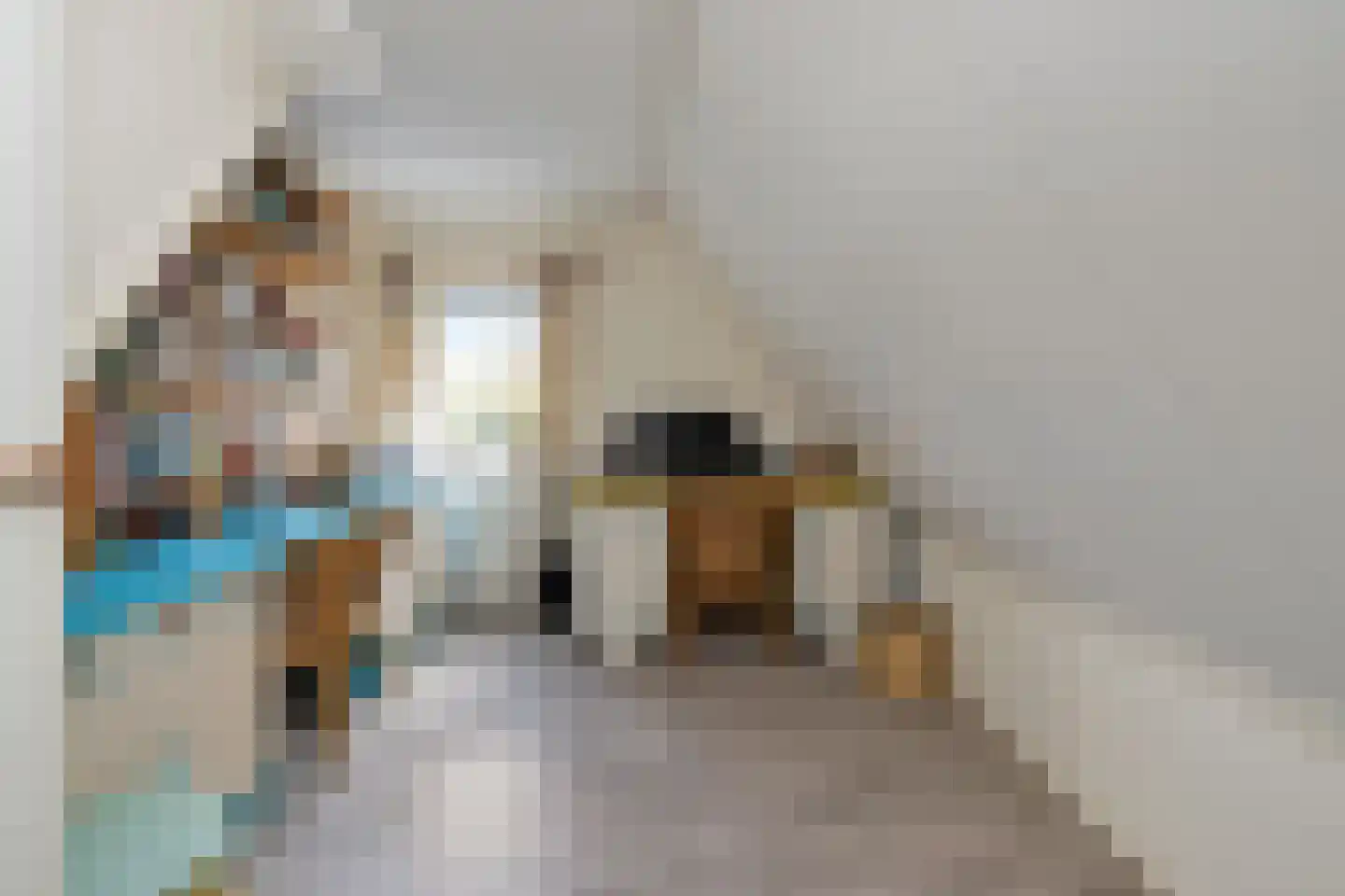 Rietkraag 8 Anna Paulowna thumbnail 28