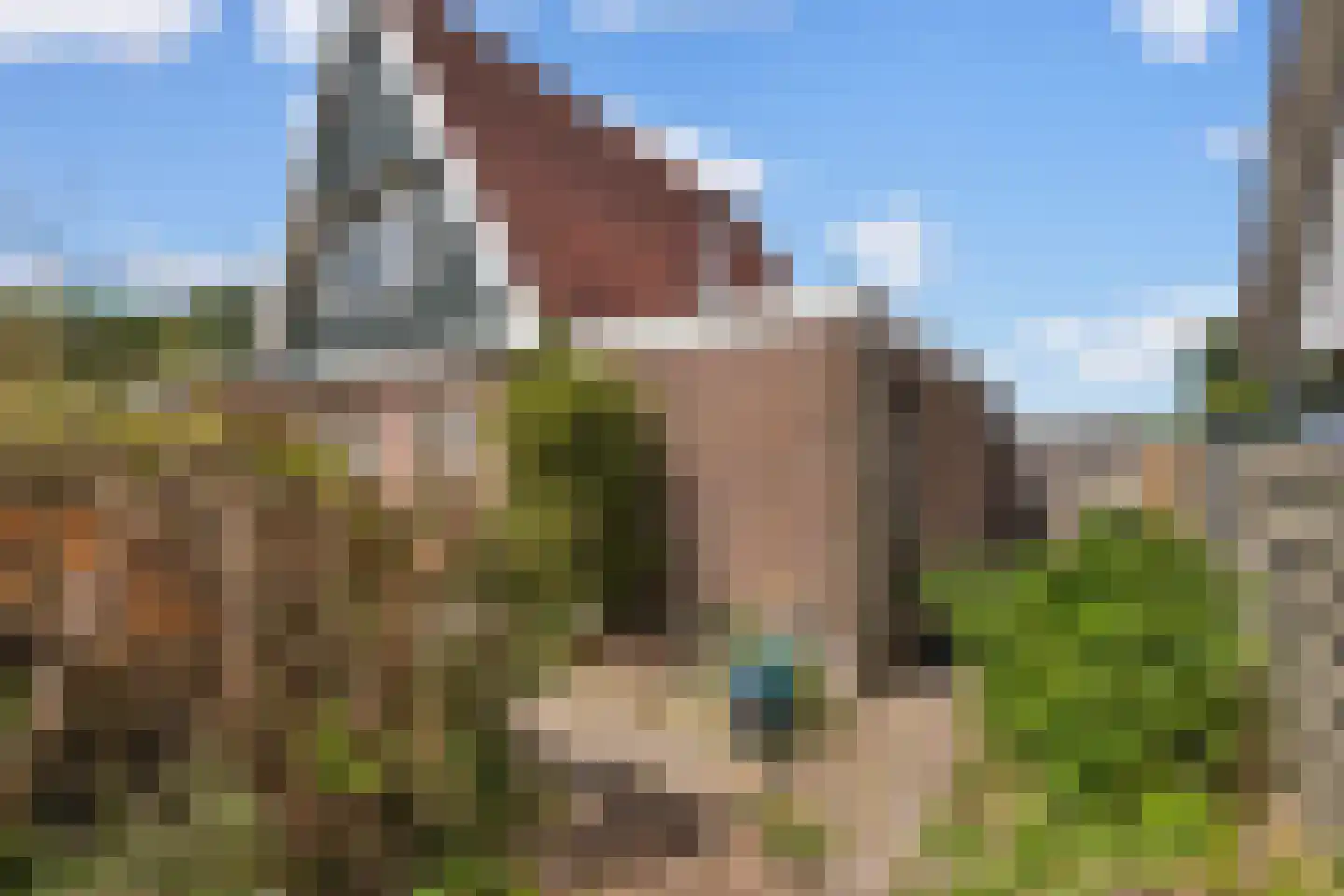 Rietkraag 8 Anna Paulowna thumbnail 31