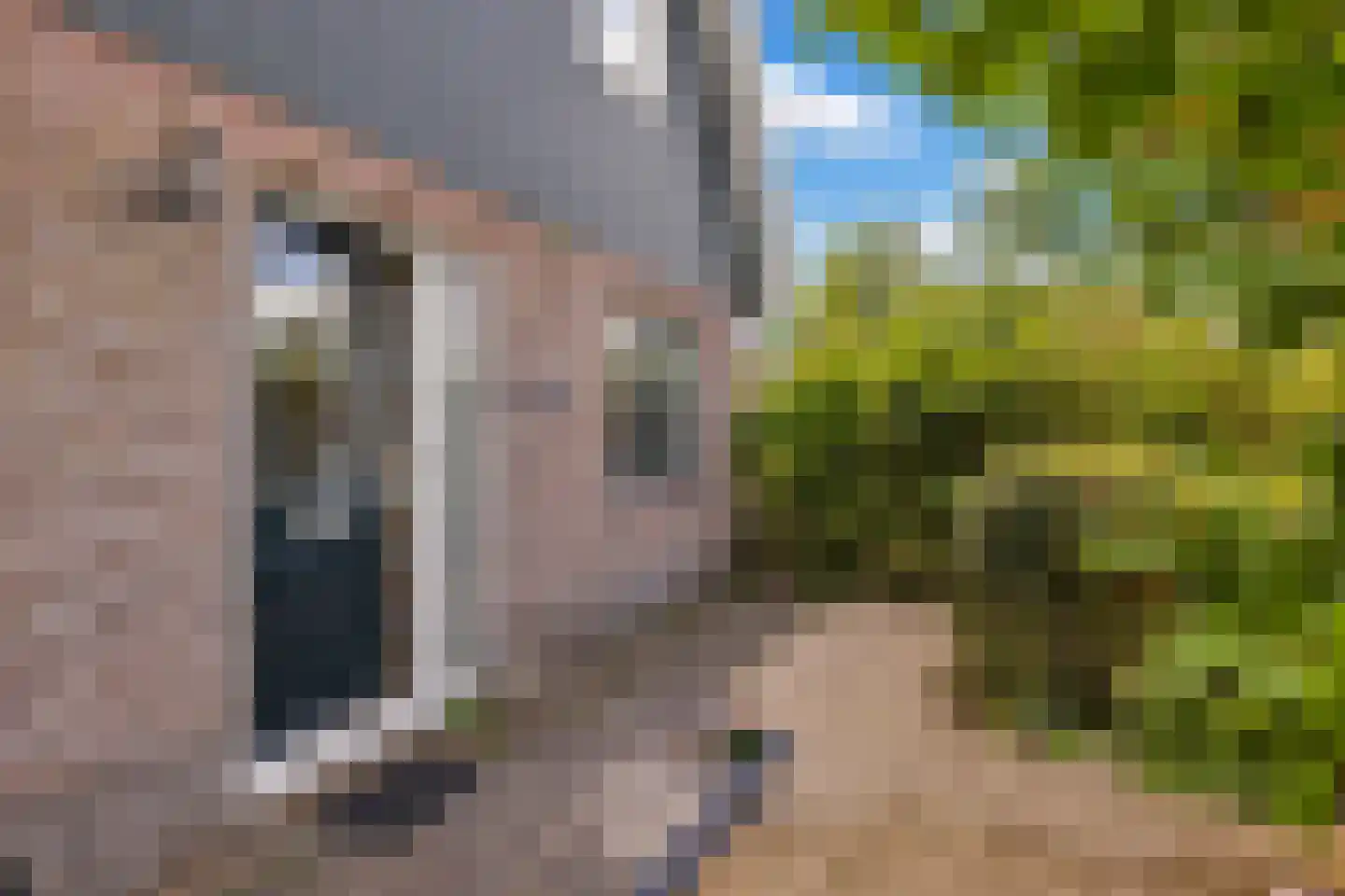 Rietkraag 8 Anna Paulowna thumbnail 8