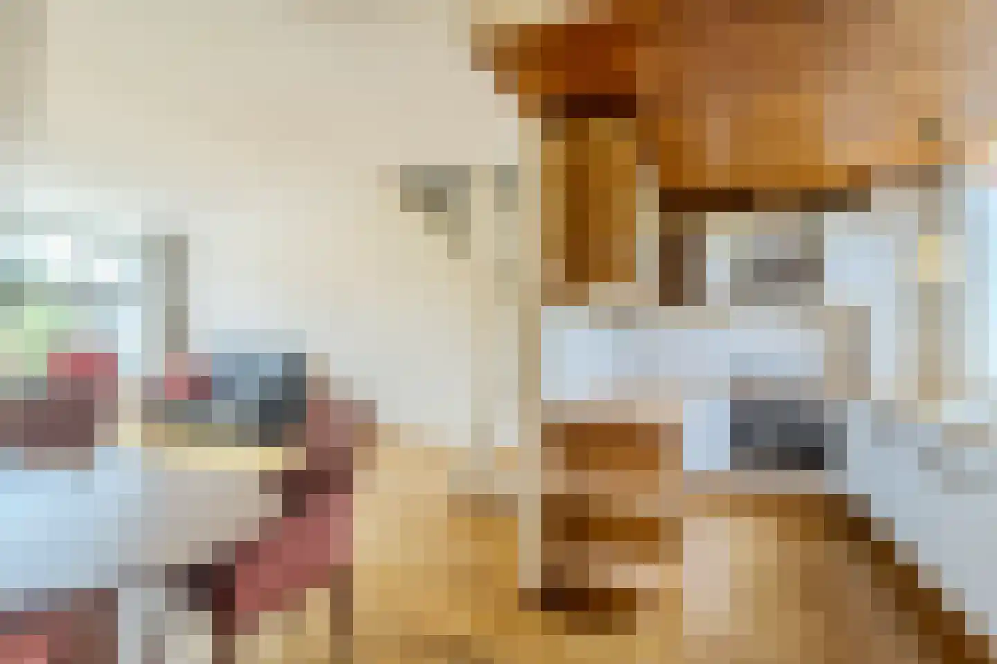 Rietkraag 8 Boskoop thumbnail 13