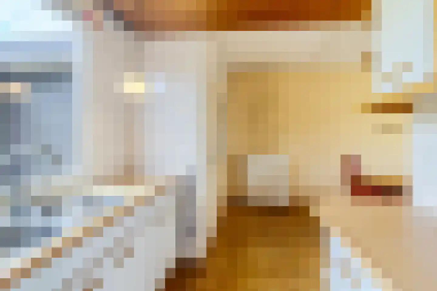 Rietkraag 8 Boskoop thumbnail 15