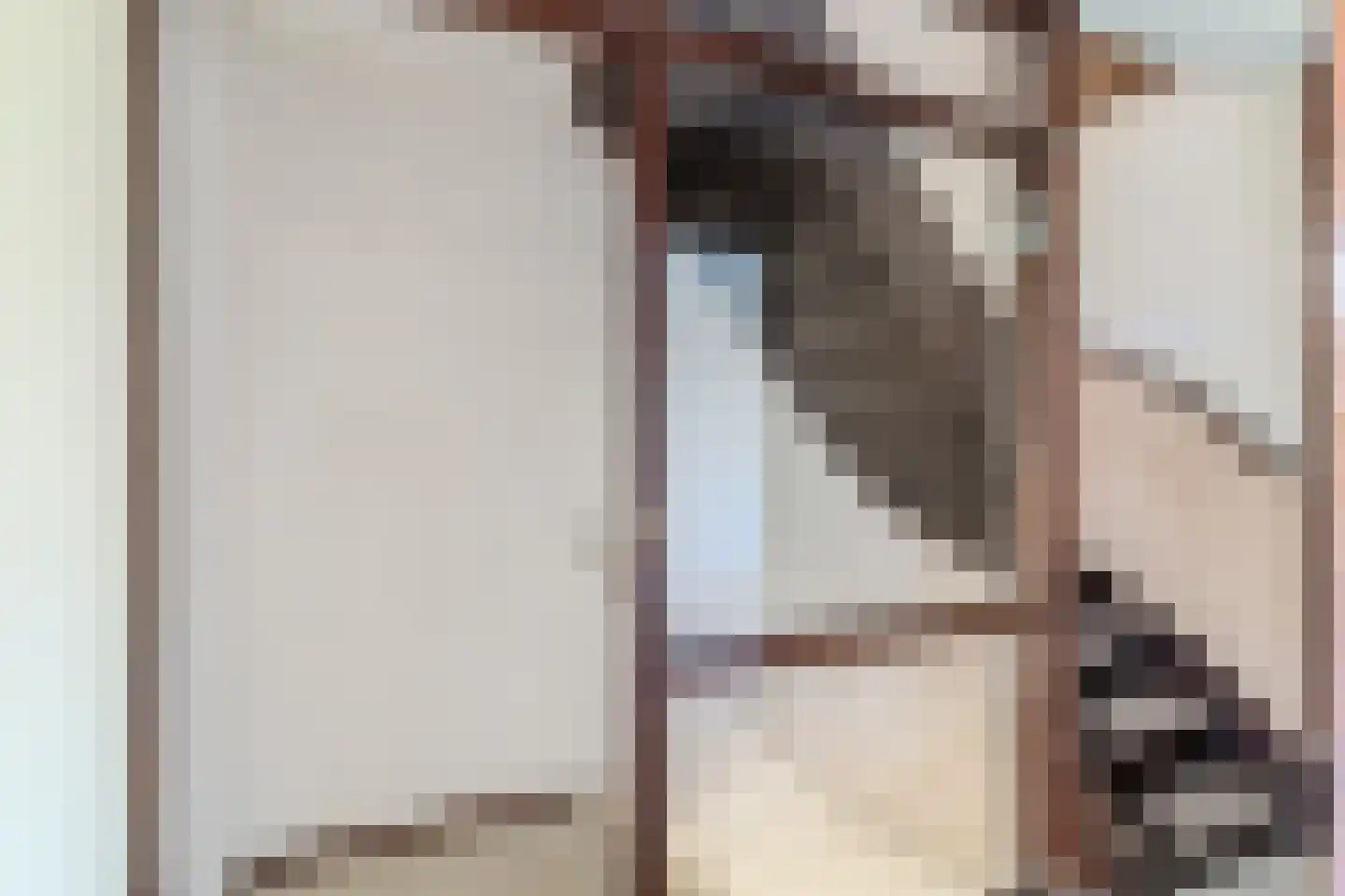 Rietkraag 8 Boskoop thumbnail 17