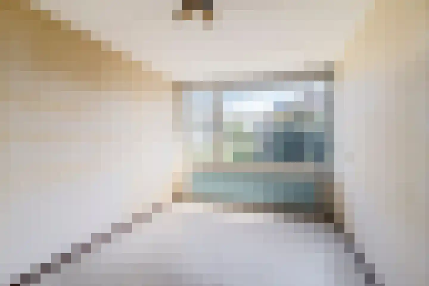 Rietkraag 8 Boskoop thumbnail 22