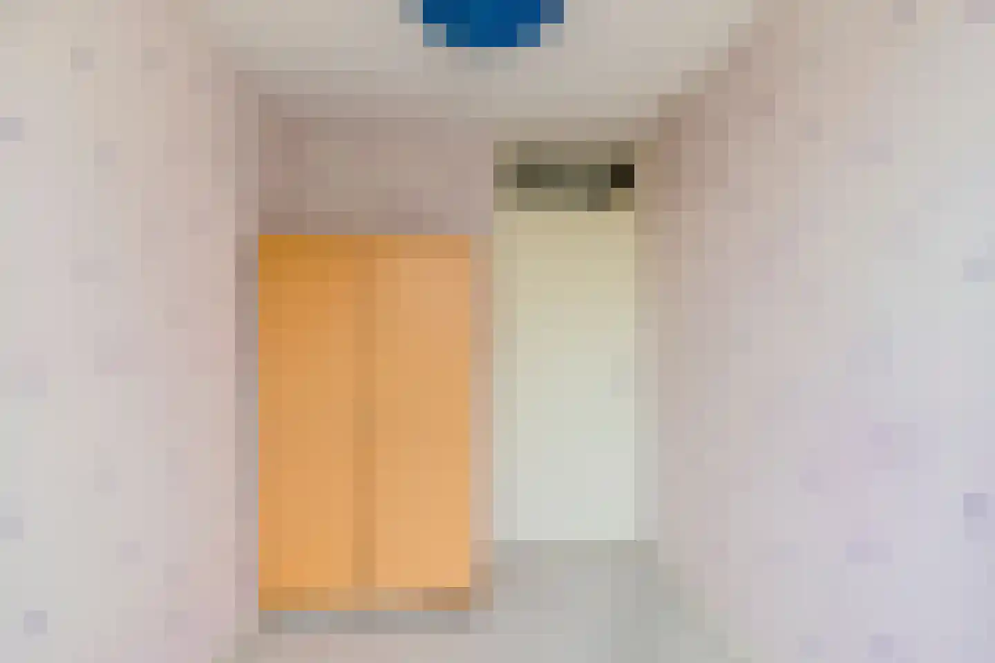 Rietkraag 8 Boskoop thumbnail 25