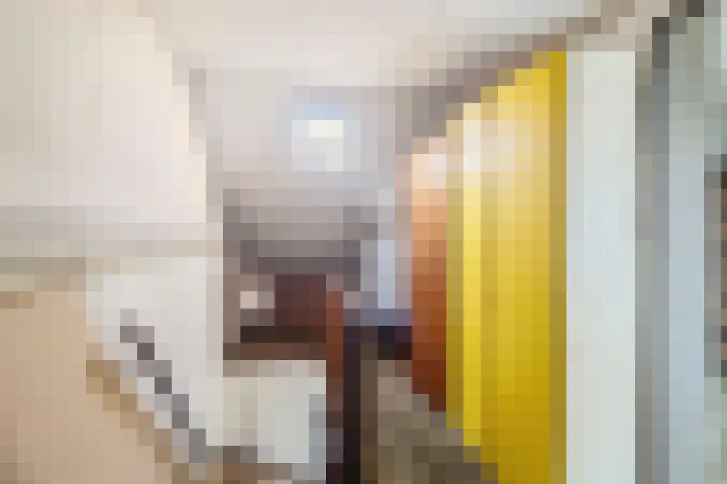Rietkraag 8 Boskoop thumbnail 28