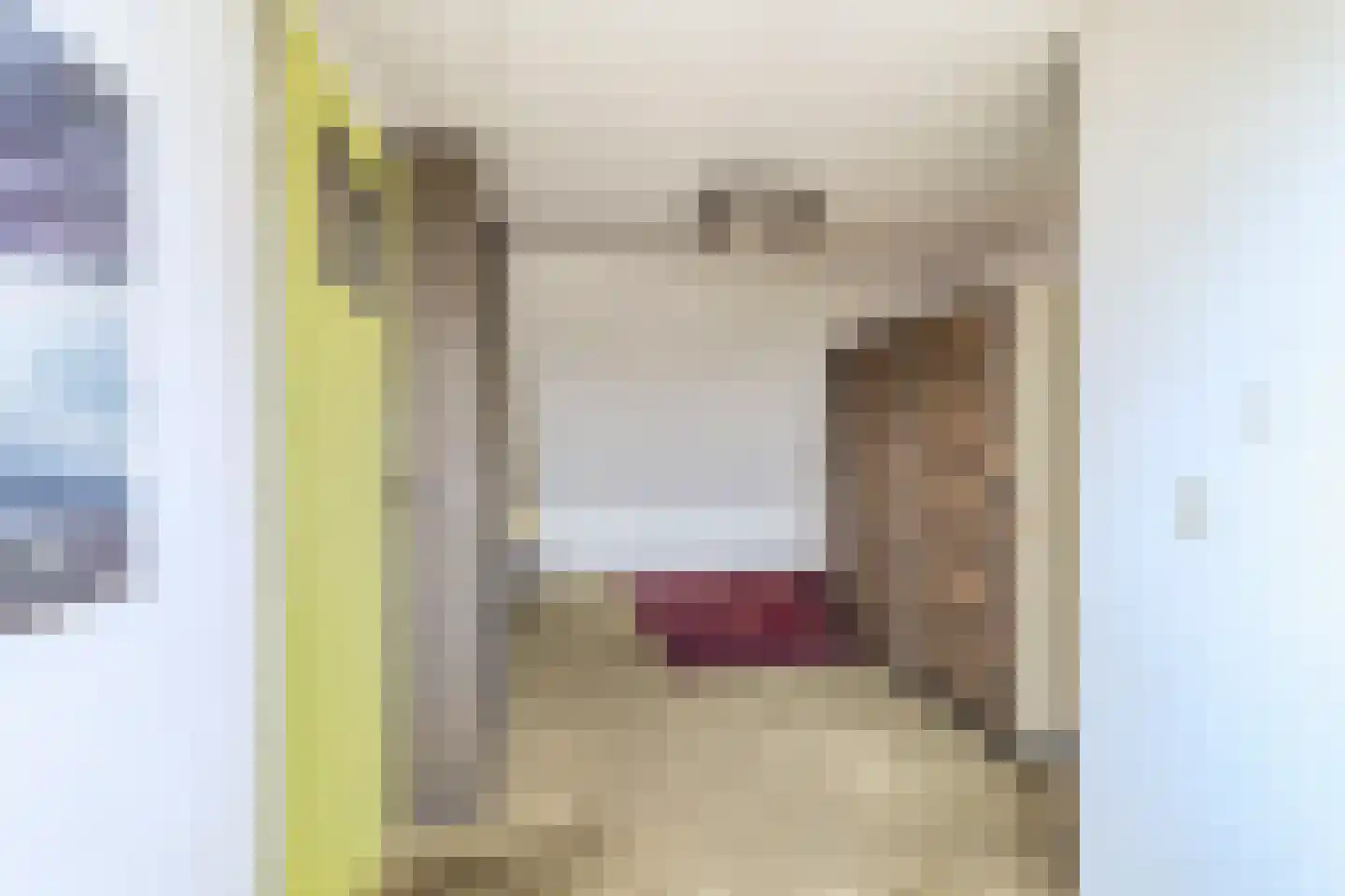 Rietkraag 8 Boskoop thumbnail 30