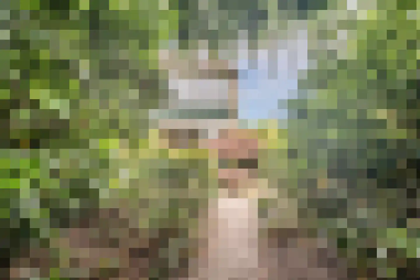 Rietkraag 8 Boskoop thumbnail 31