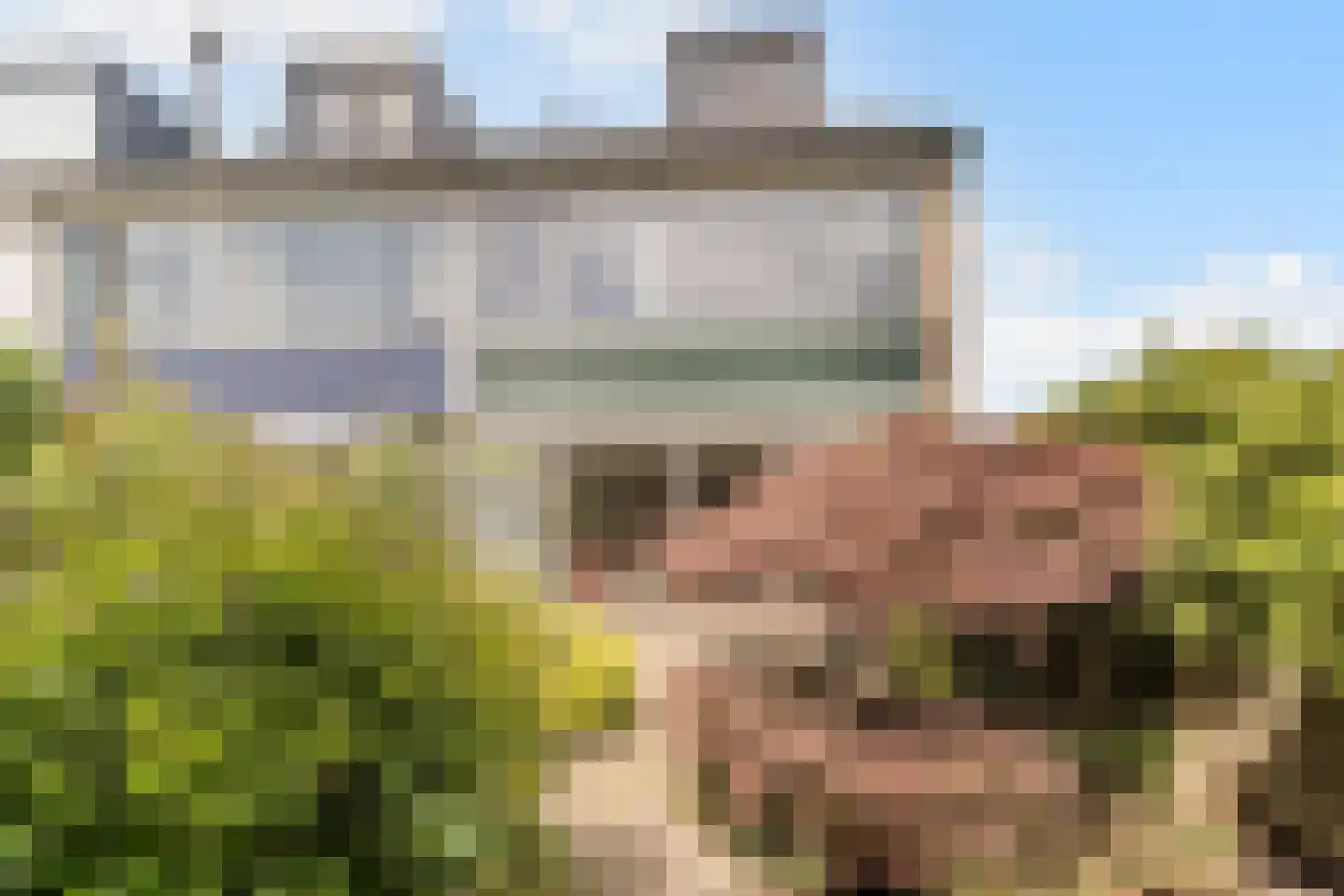 Rietkraag 8 Boskoop thumbnail 32