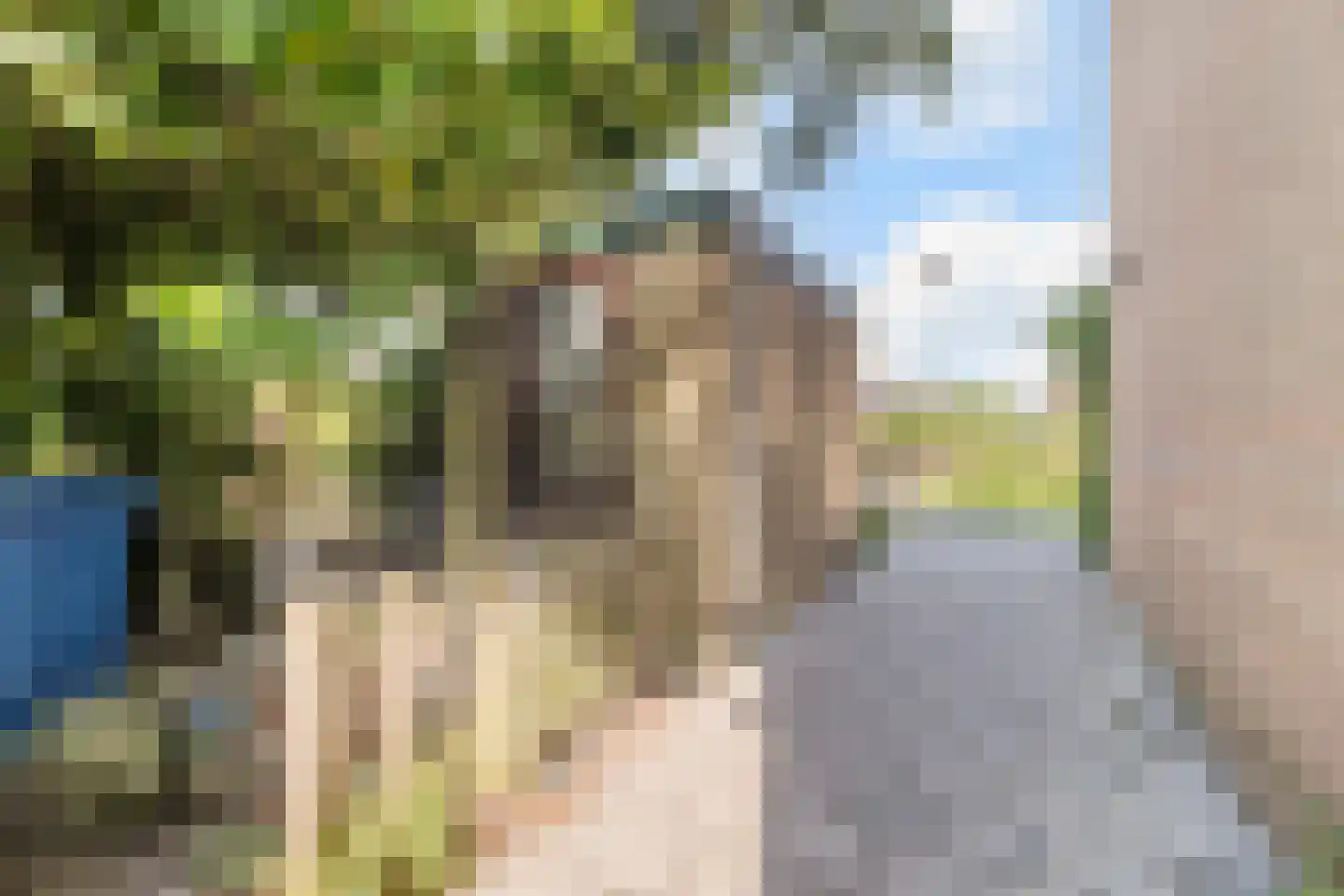 Rietkraag 8 Boskoop thumbnail 33