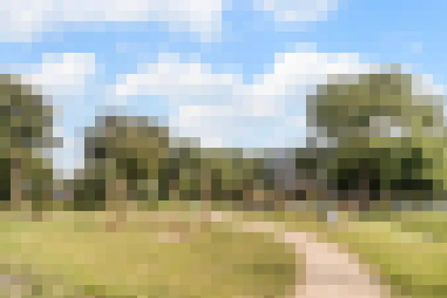 Rietkraag 8 Boskoop thumbnail 40