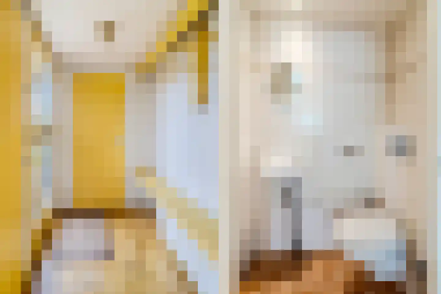 Rietkraag 8 Boskoop thumbnail 6