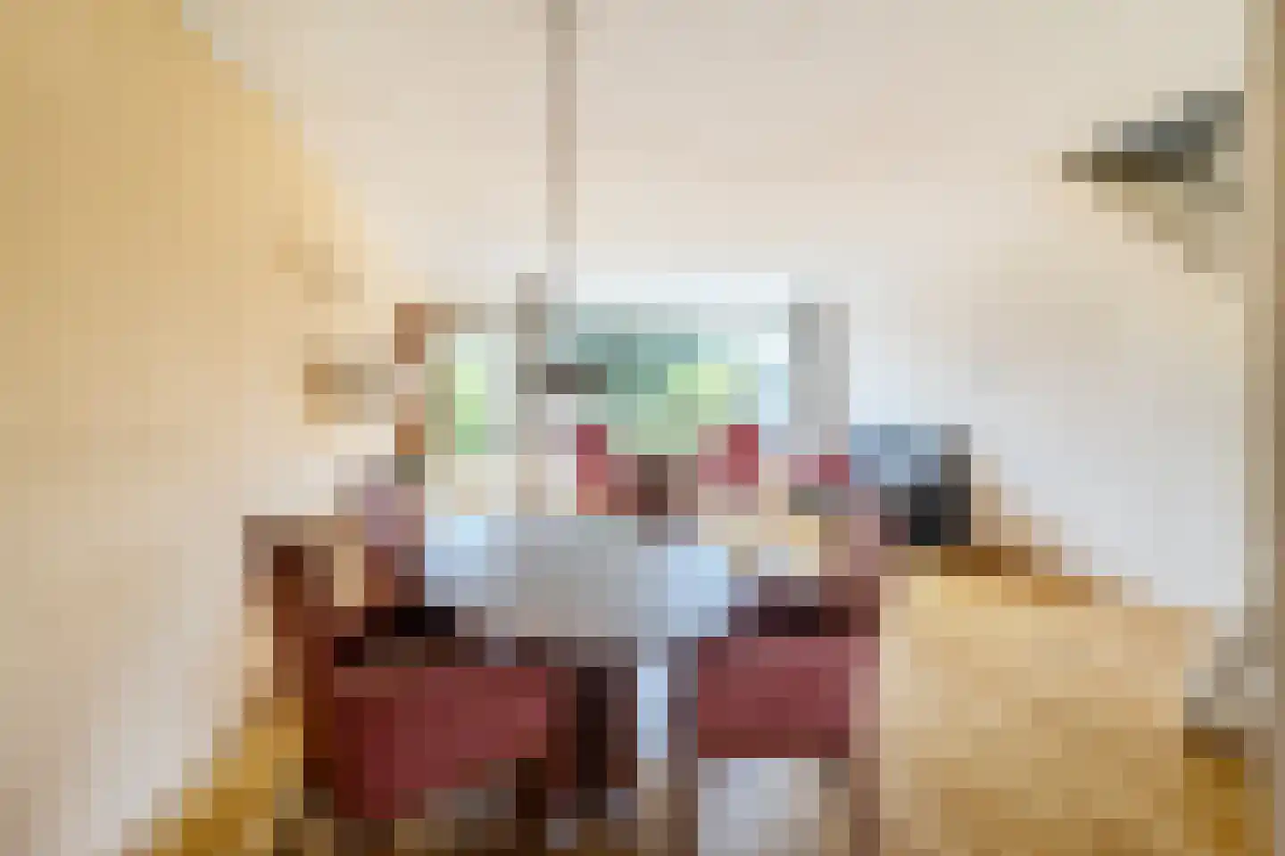 Rietkraag 8 Boskoop thumbnail 7