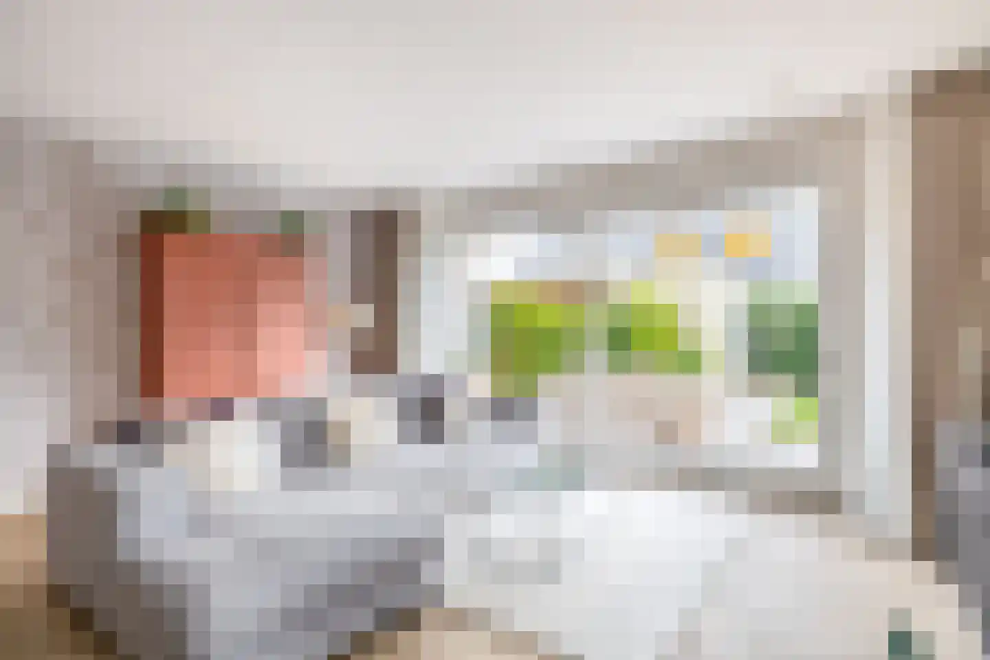 Rietkraag 8 Capelle aan den IJssel thumbnail 10