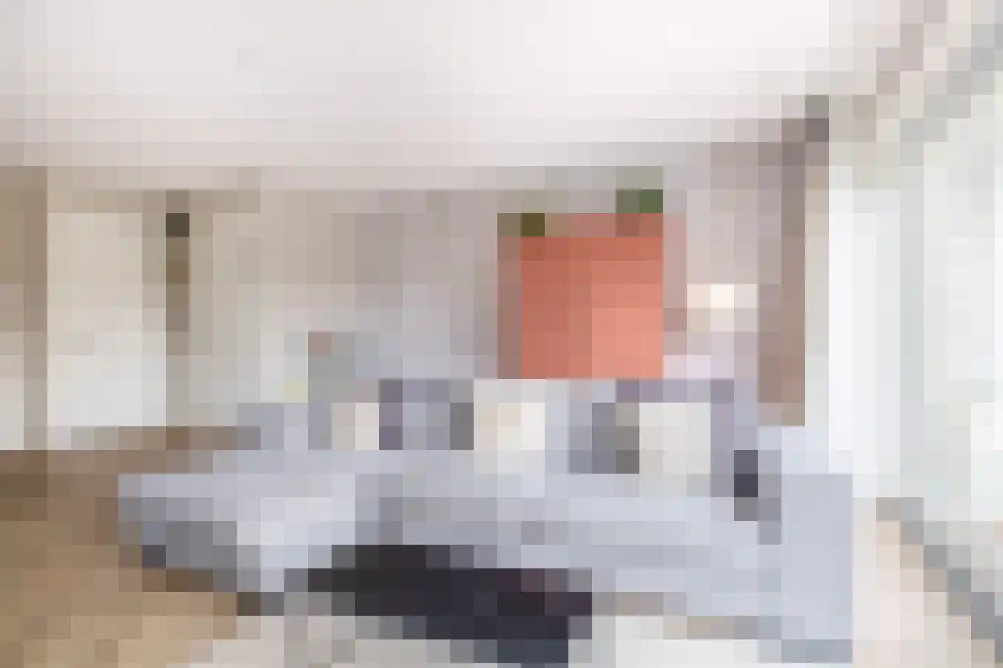 Rietkraag 8 Capelle aan den IJssel thumbnail 11