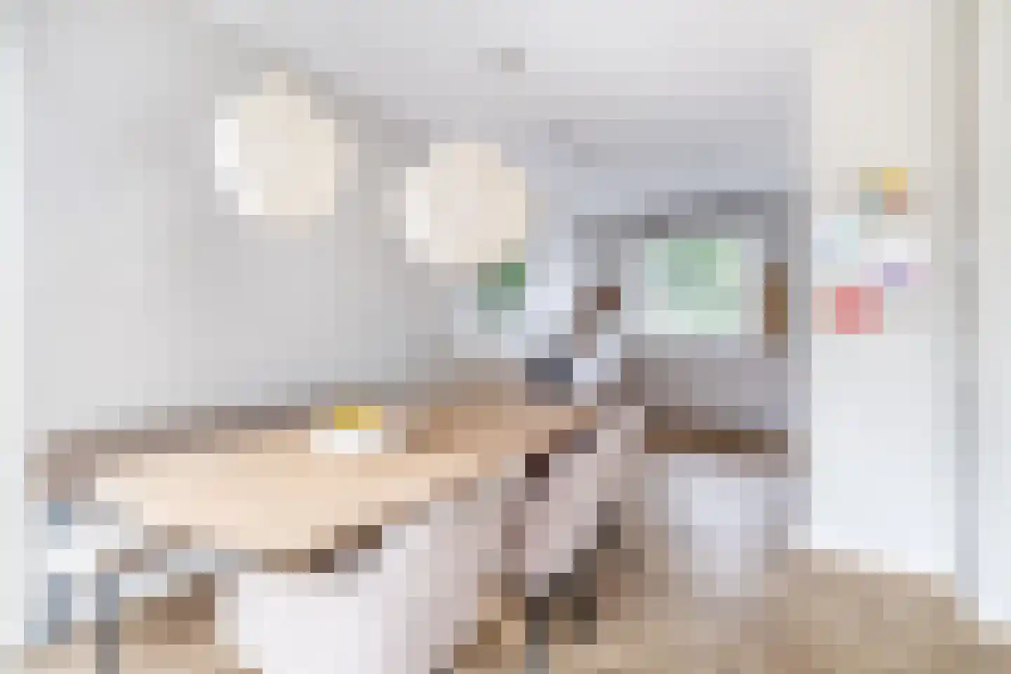Rietkraag 8 Capelle aan den IJssel thumbnail 13