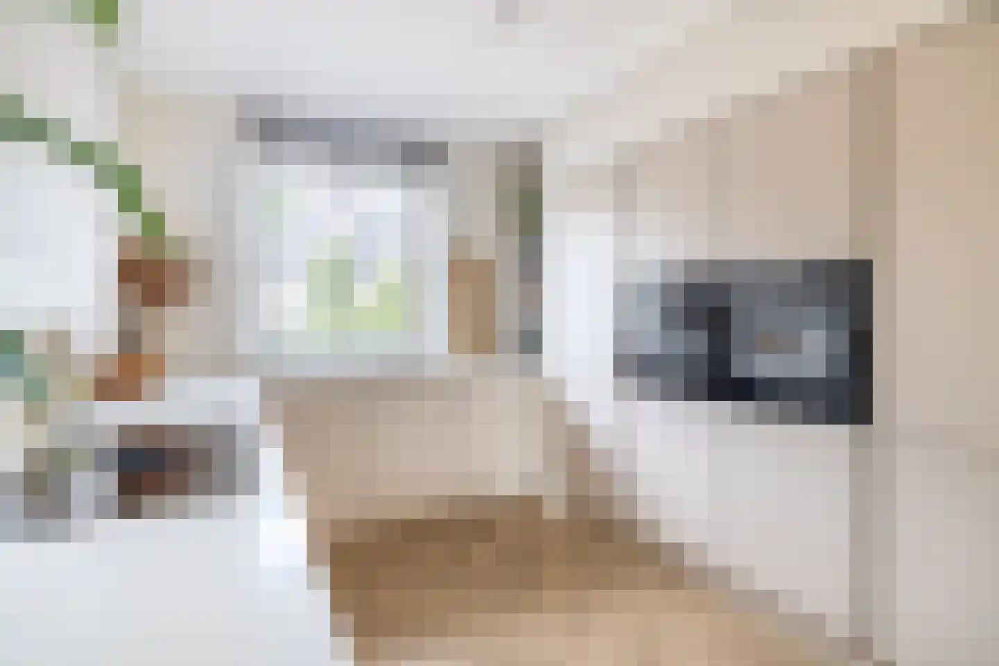 Rietkraag 8 Capelle aan den IJssel thumbnail 15