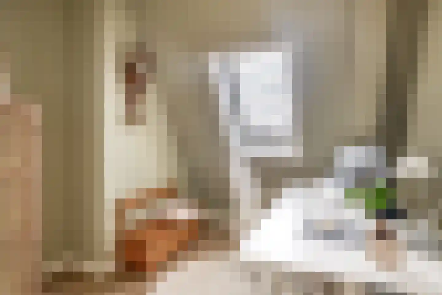Rietkraag 8 Capelle aan den IJssel thumbnail 32
