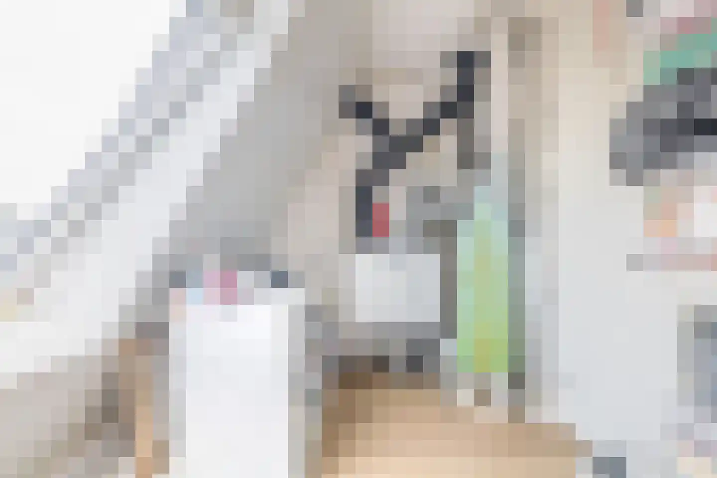 Rietkraag 8 Capelle aan den IJssel thumbnail 34