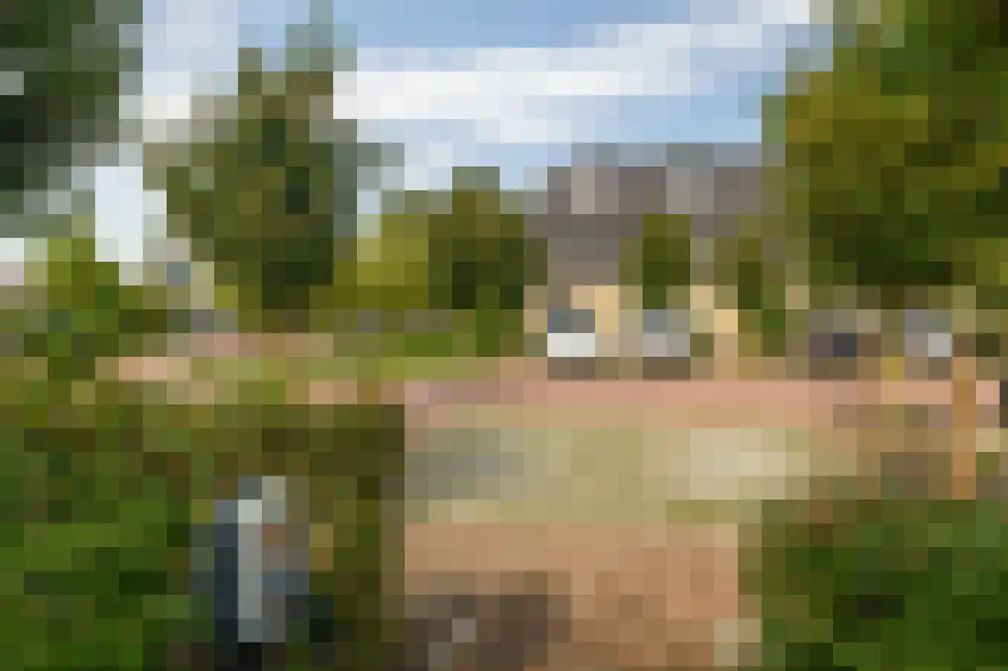 Rietkraag 8 Capelle aan den IJssel thumbnail 43