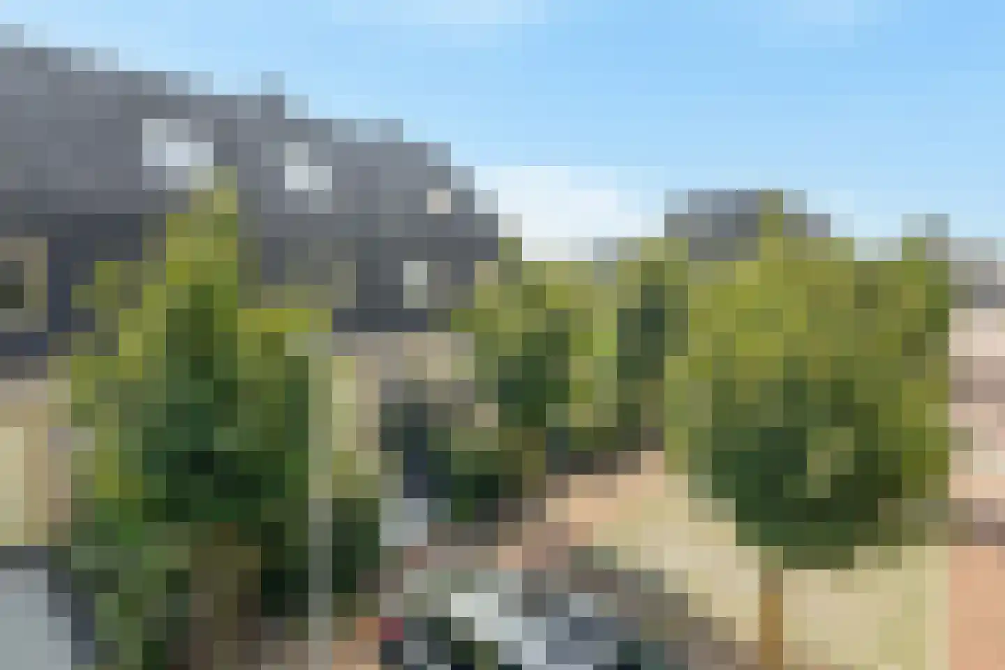 Rietkraag 8 Capelle aan den IJssel thumbnail 44