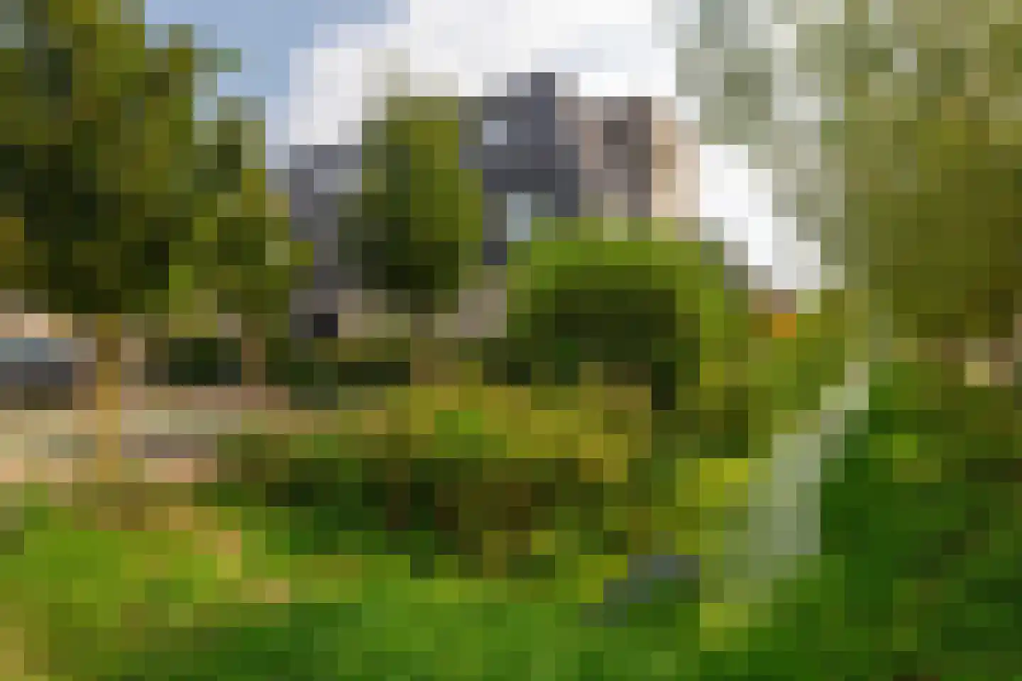 Rietkraag 8 Capelle aan den IJssel thumbnail 45