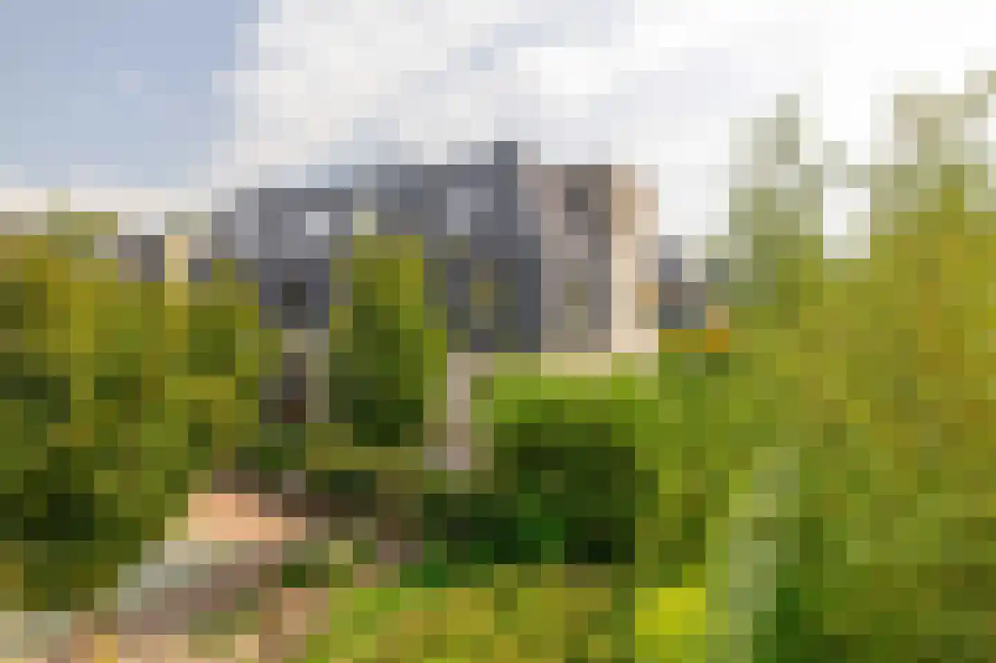 Rietkraag 8 Capelle aan den IJssel thumbnail 5