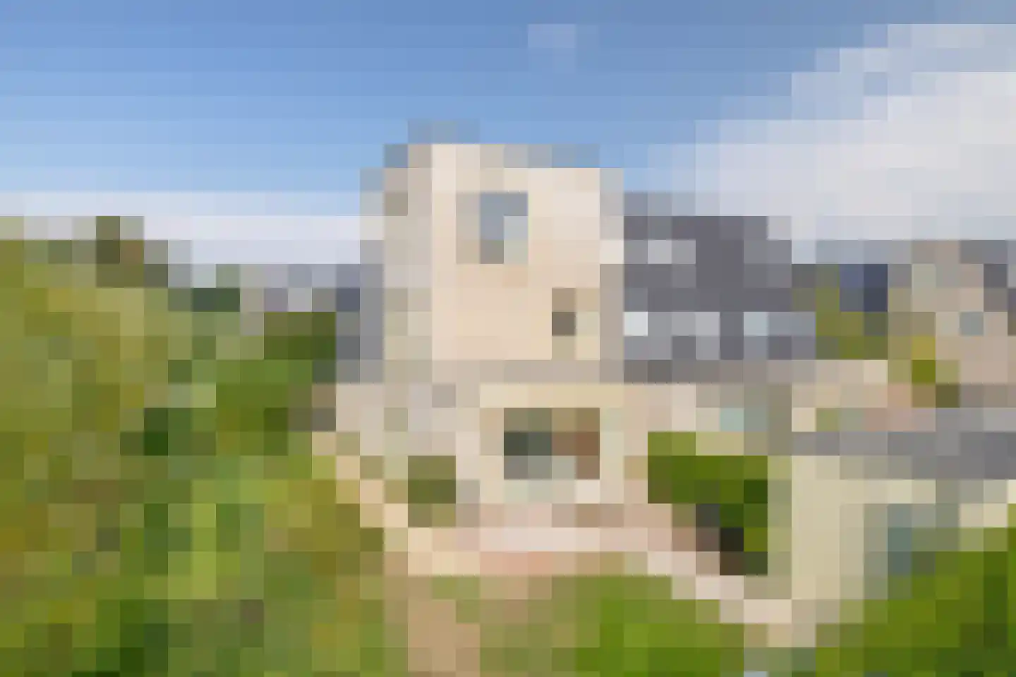 Rietkraag 8 Capelle aan den IJssel thumbnail 7