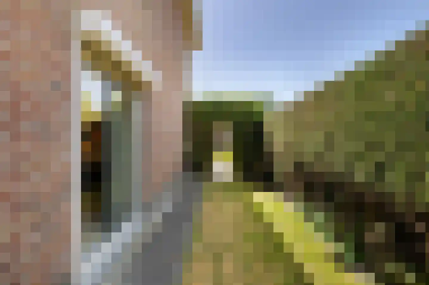 Rietkraag 8 Vlissingen thumbnail 51