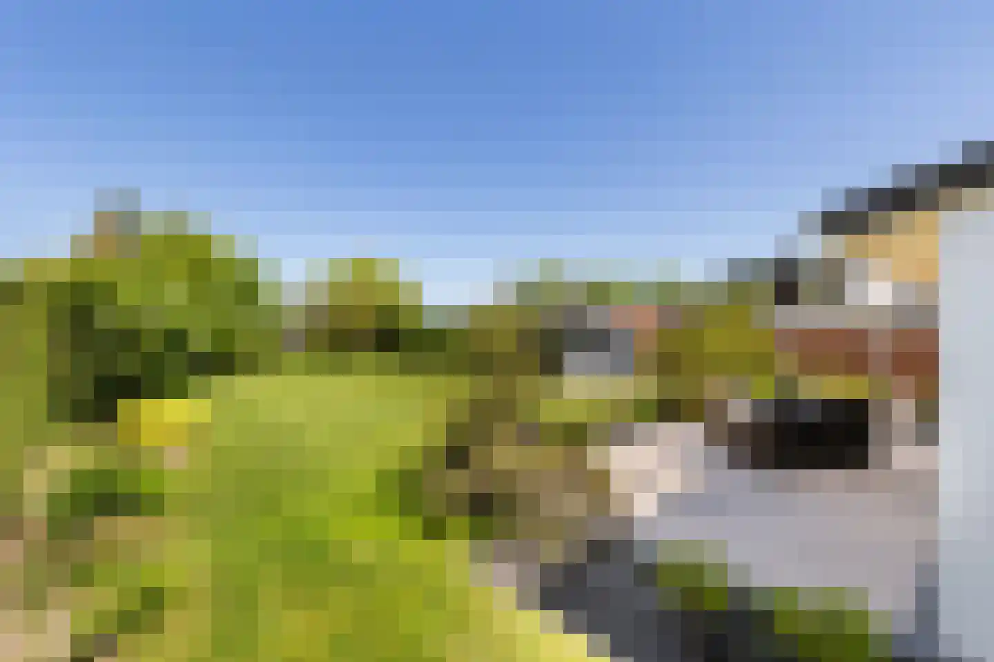 Rietkraag 8 Vlissingen thumbnail 52