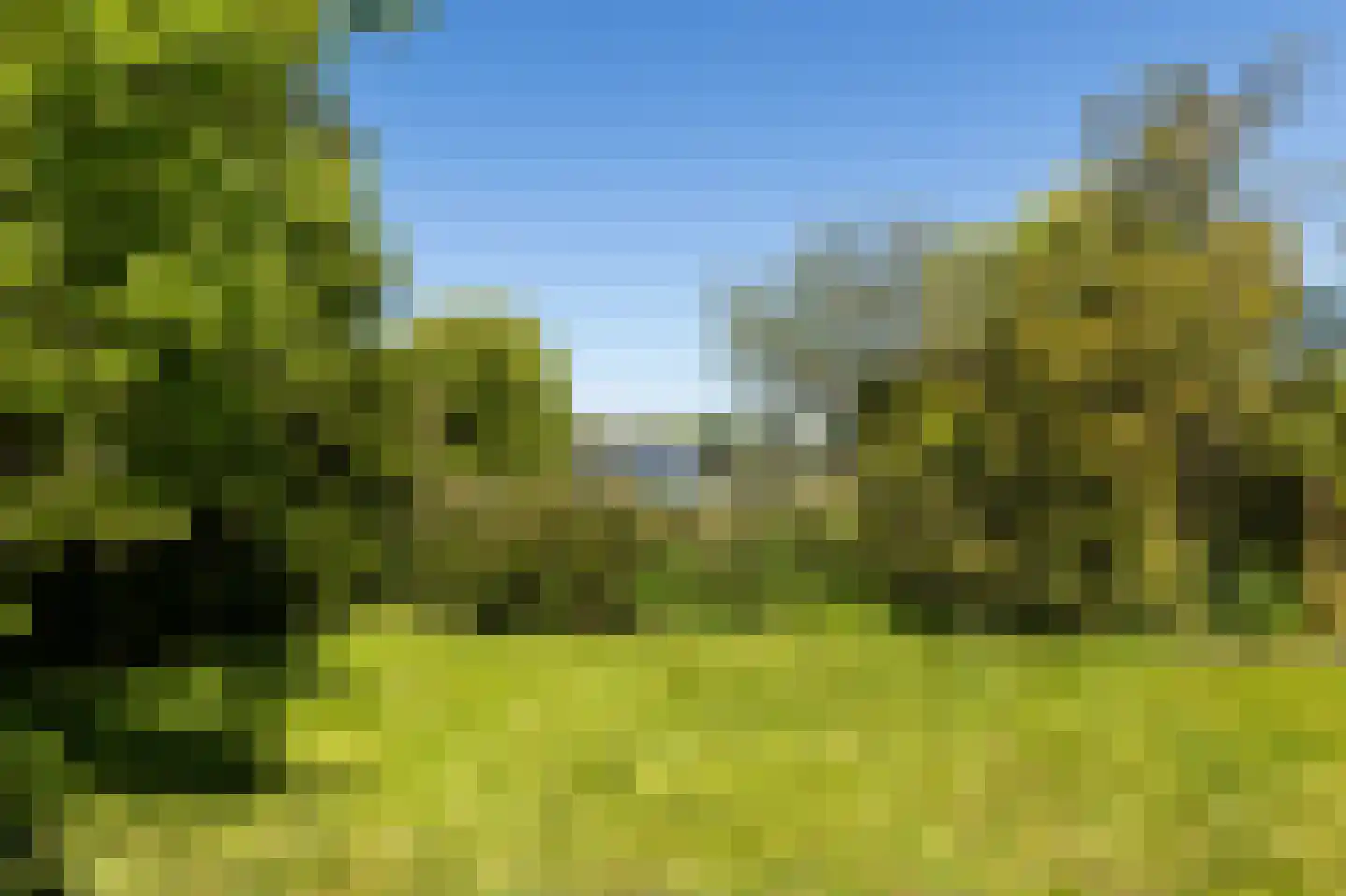 Rietkraag 8 Vlissingen thumbnail 54